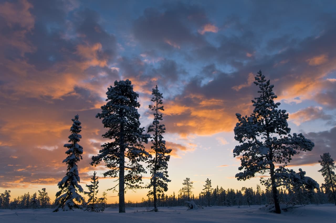 Sin embargo, en el hemisferio sur sucede lo contrario y tenemos entonces el día más corto del año, marcando el paso del otoño al invierno -al mediodía el sol alcanza el punto más bajo de todo el año- por lo que le llaman el “solsticio de invierno”.