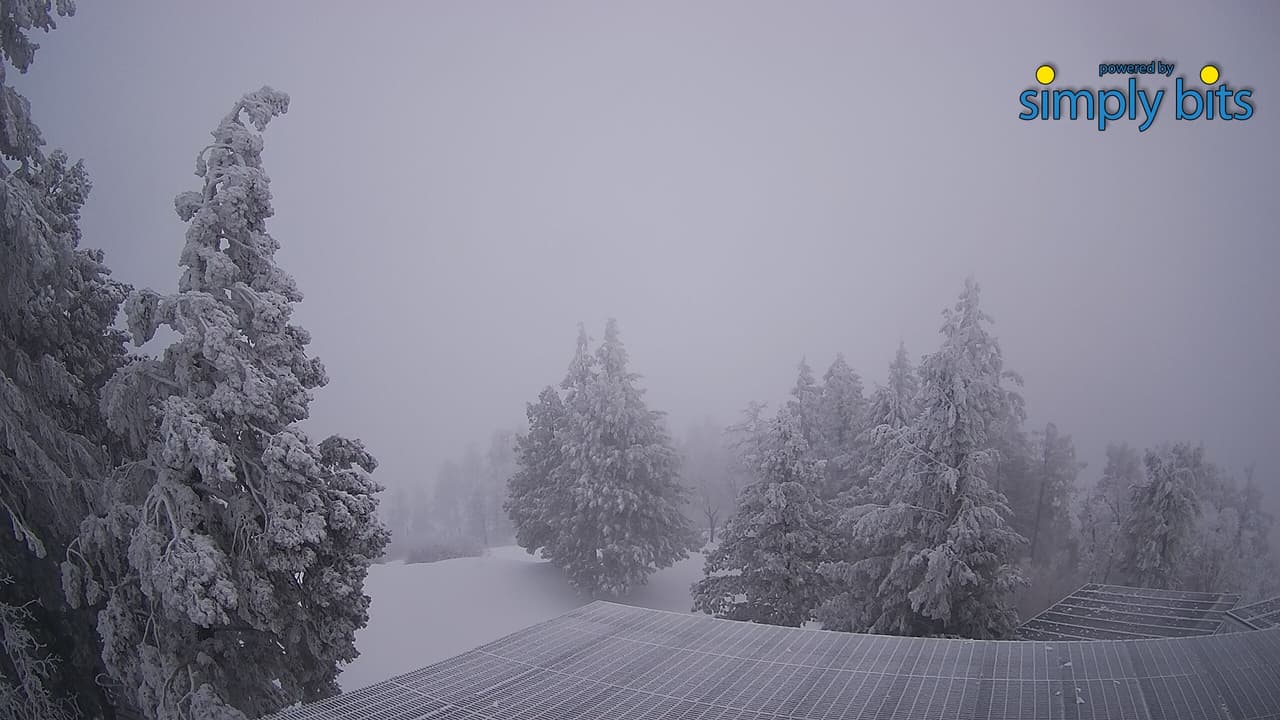 “El Servicio Meteorológico Nacional anticipa que la segunda tormenta, prevista para el lunes por la tarde y la madrugada del miércoles, será la tormenta de invierno más impactante desde febrero de 2019”, indica el Departamento del Sheriff del Condado de Pima.
<br>
<br>