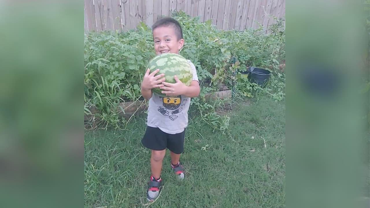 "Nosotros tenemos varias cosas sembradas entre ellas sandía, jitomate, chile verde, chile japonés, epazote, piña, árboles de limón, pera, durazno, nuez, mandarina, naranja, guayaba, mispero, pomelo, aguacate y estoy por sembrar pepino y otras cosas más".