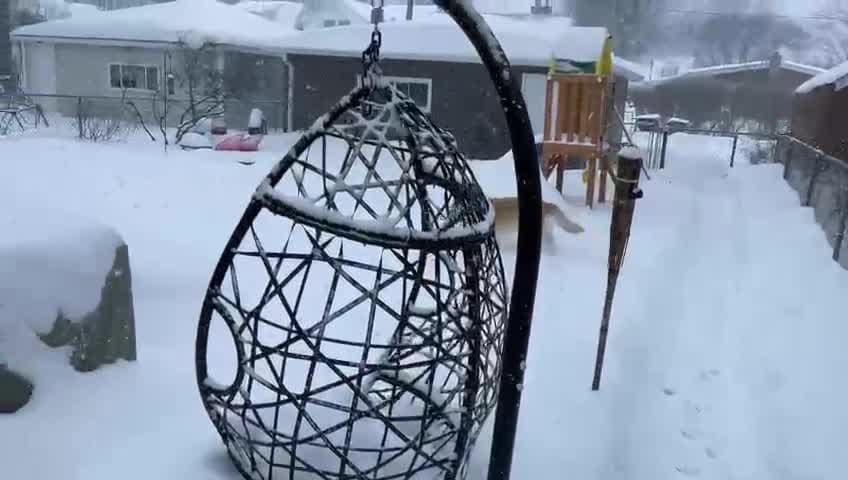 Para este mascota en Skokie, la nieve y el frío solo valen para jugar más.