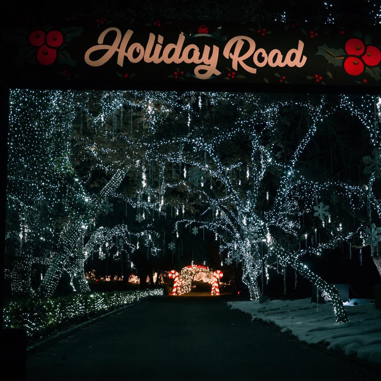 La experiencia navideña inmersiva se vive en Georgia, por primera vez, este año. Este evento familiar ofrece la oportunidad recorrer una vía con 25 escenas únicas y encantadoras de esta temporada.