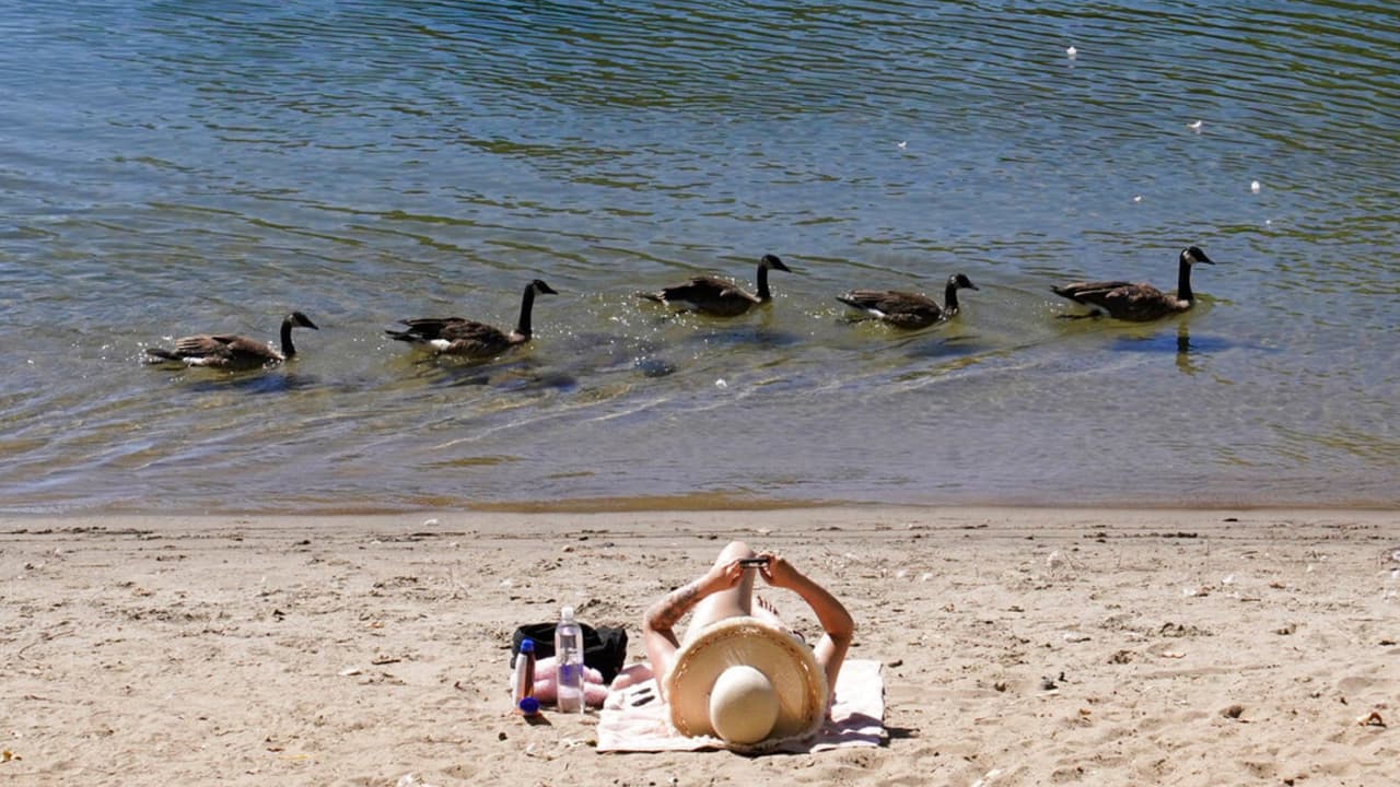 Peligrosa ola de calor se estaciona en el norte de California con temperaturas de hasta 112 grados