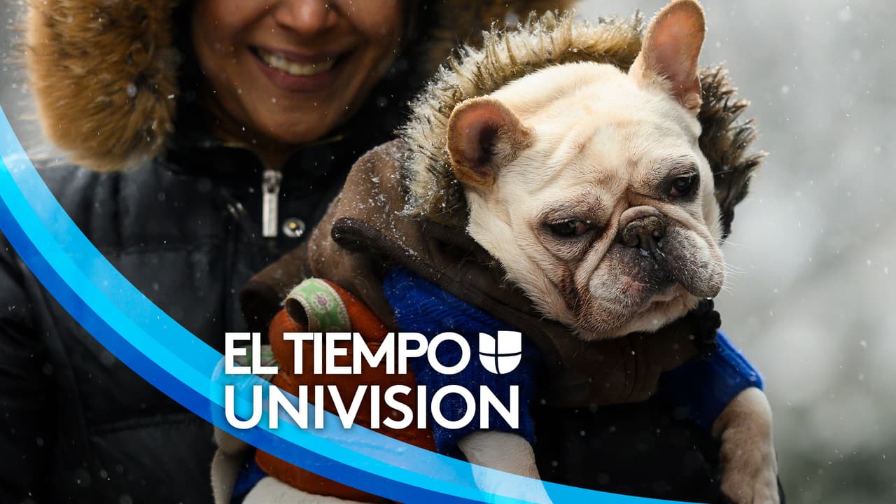 Actualización del tiempo: Nieve, lluvia, frío y mezcla invernal invade la primavera en Chicago una vez mas