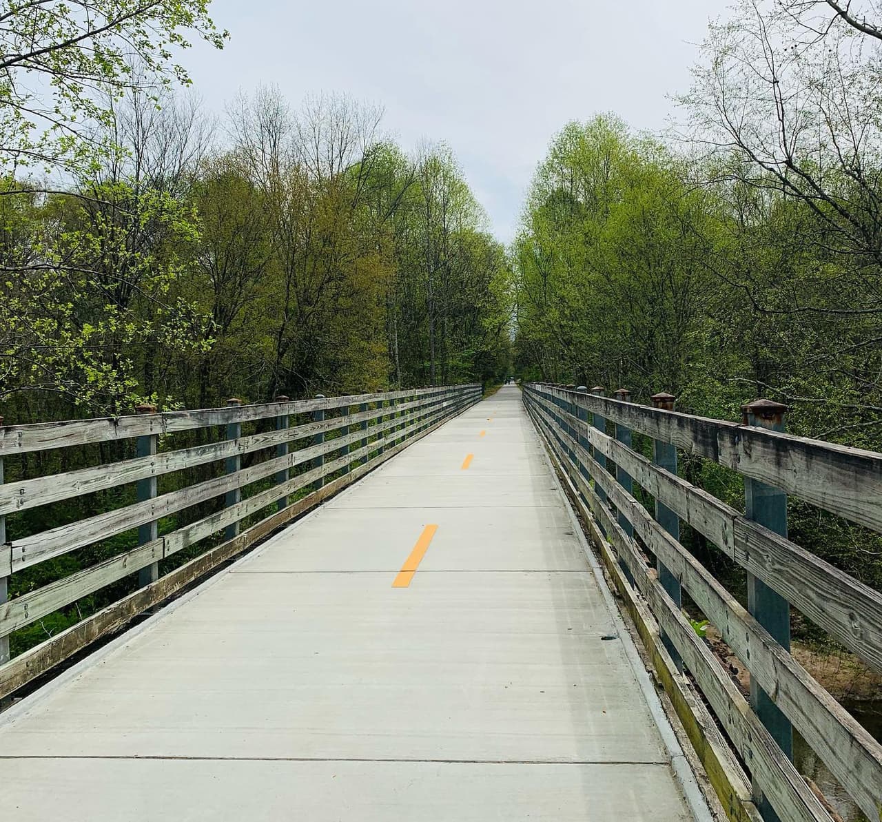 <b>Silver Comet Trail (Smyrna)</b>
<br>
<b>Sitio web</b>: 
<a href="https://www.silvercometga.com/">https://www.silvercometga.com/</a> 
<br>
<a href="https://maps.app.goo.gl/5Kp6SUvfEms7mwFD8"><b>Cómo llegar </b></a>
<br>
<br>El Silver Comet es una vía peatonal pavimentada de 61.5 millas de largo, es gratuito y atraviesa los condados de Cobb, Paulding y Polk. Este sendero tranquilo y no motorizado es para caminantes, excursionistas, ciclistas, patinadores, caballos, paseadores de perros y, en su mayoría, es accesible para sillas de ruedas.