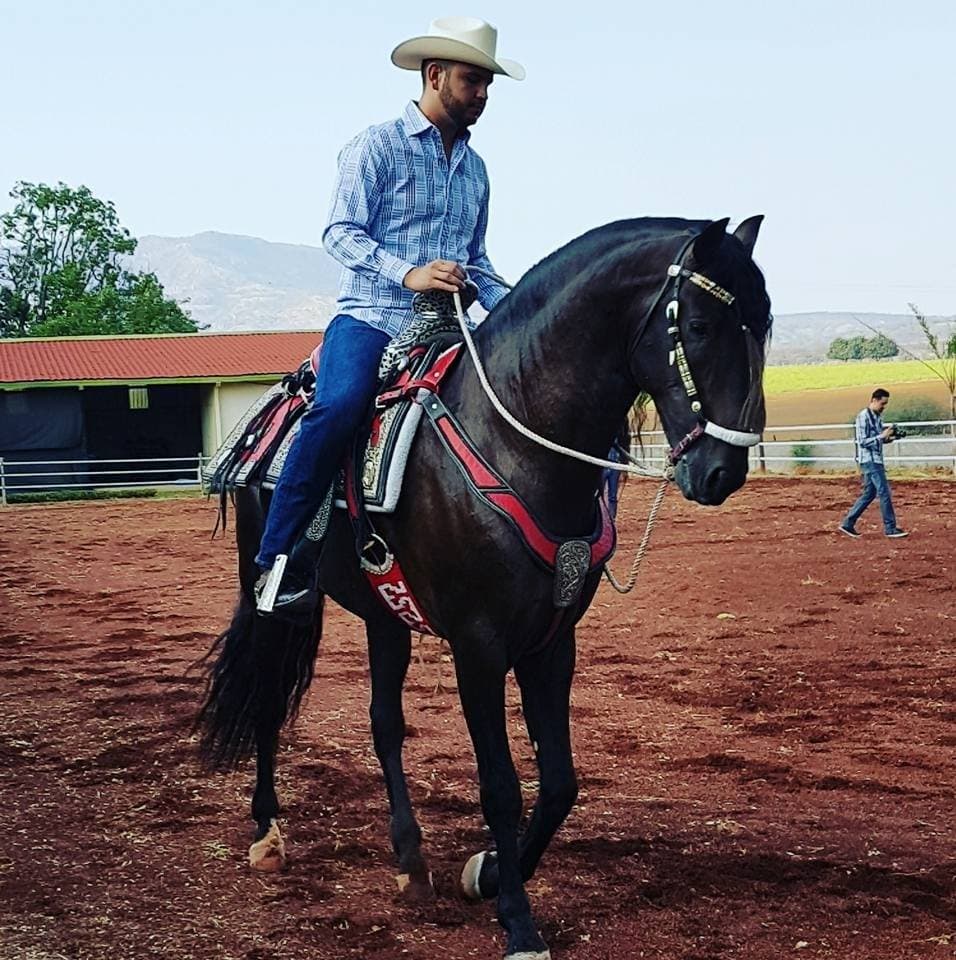 Él se muestra orgulloso de su caballo 'purasangre'.