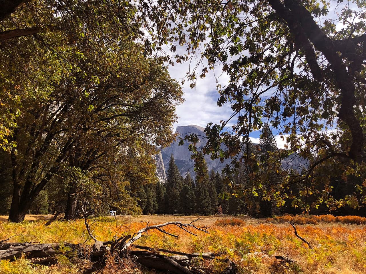 Esta es una vista del Half Dome desde el Cook's Meadow. La intensidad del color de la hoja está determinada por la temperatura del aire y la humedad. Los días cálidos y secos y las noches frescas (menos de 45 ° F o 7 ° C) significan colores brillantes, en cambio los días lluviosos y las noches cálidas dan como resultado una coloración menos intensa.