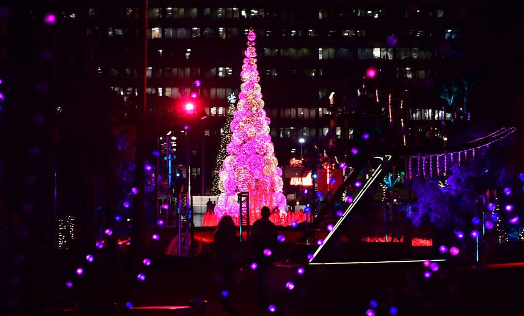 <b>Grand Park</b>:
<br>Nos regala el ”Winter Glow” en el que arte, proyecciones y caminos iluminados se unen para ofrecer una caminata interactiva.
<br>
<b>Cuándo:</b> Durante el mes de diciembre (usualmente del 6 al 25).
<br>
<b>Dónde:</b> 200 N Grand Ave, Los Angeles, CA 90012.
<br>
<b>Precio: </b>Gratis
<br>