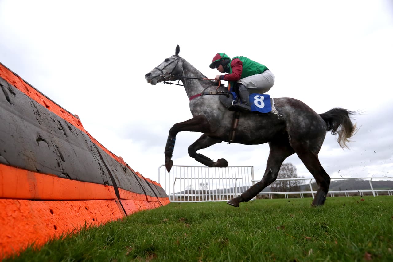 <b>Puesto 6. La domesticación del caballo. </b>Hoy día el uso de caballos es casi exclusivamente recreacional,
<a href="https://www.derbymuseum.org/"><u>en carreras y otros juegos</u></a>. Pero en el desarrollo de la humanidad, es probable que su mayor influencia fuera en la naturaleza de la guerra. Nada era más temido que un carro tirado por caballos o un guerrero montado, y las sociedades que dominaban la caballería prevalecían en la batalla.