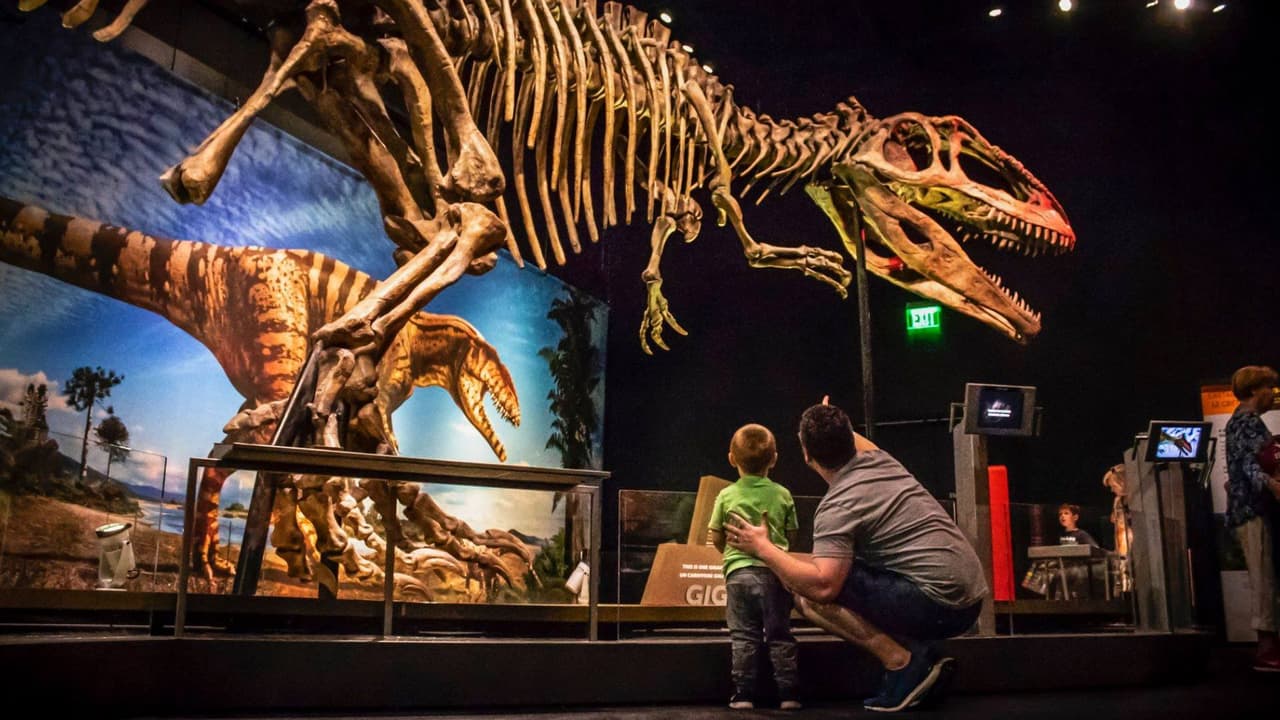 <b>Dallas, la ciudad más grande del norte de Texas, te espera con una experiencia única.</b> Te invitamos a unirte a nuestro canal de WhatsApp para recibir noticias e información útil al instante. 
<a href="https://www.whatsapp.com/channel/0029VafZxTzGpLHXXhtL0Y3A" target="_blank">¡Haz clic aquí y mantente al día con todo lo que Dallas tiene para ofrecer! </a>