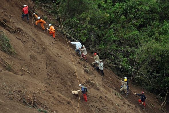 También varios perros adiestrados que fueron usados para recuperar víctimas del terremoto que sacudió Haití el pasado 12 de enero y que, tal como explicó Santos, ya han localizado "ocho puntos" donde se presume que hay cuerpos sepultados.