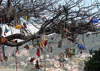 El árbol, que se fue nutriendo paulatinamente de motivos navideños, empezó a llamar la atención de los transeúntes de la primera avenida de Comayagüela, que han empezado a hacer sus pequeños aportes para enriquecer el proyecto.