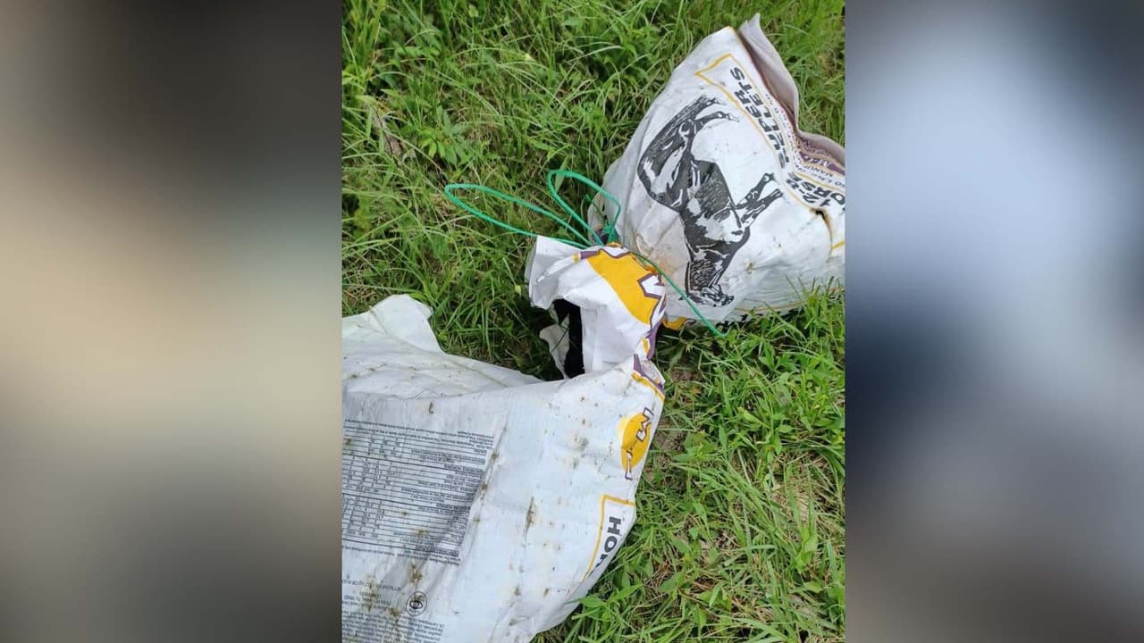 Los perros están siendo atendidos. Las autoridades piden a la comunidad reportar cualquier caso de crueldad animal al 832-927-PAWS, 713-222-TIPS (8477) o a través de la página de internet de 
<b><a href="https://crime-stoppers.org/" target="_blank">Crime Stoppers</a></b>.
<br>