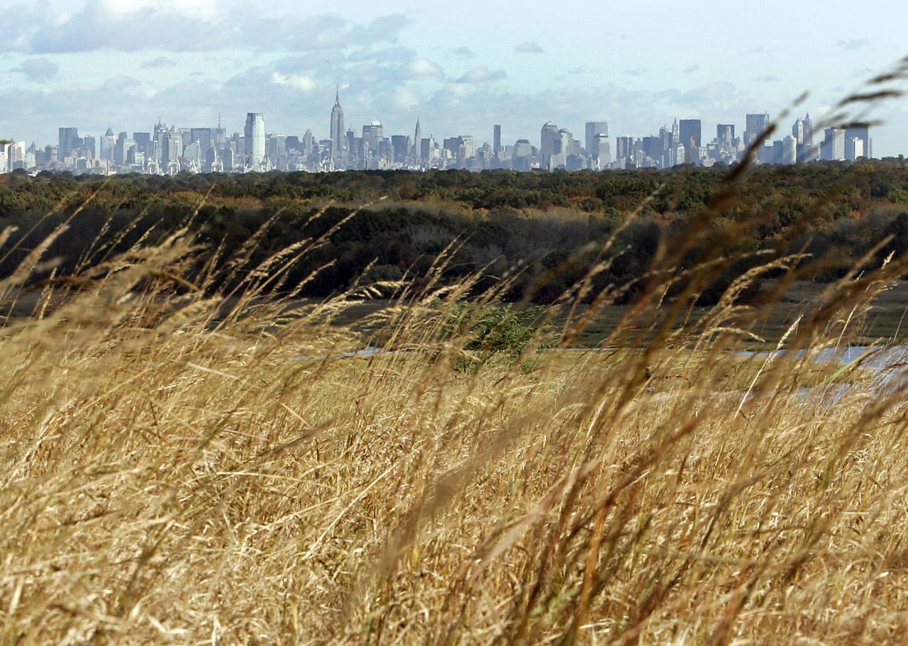El parque y, en el horizonte, los edificios de Manhattan.