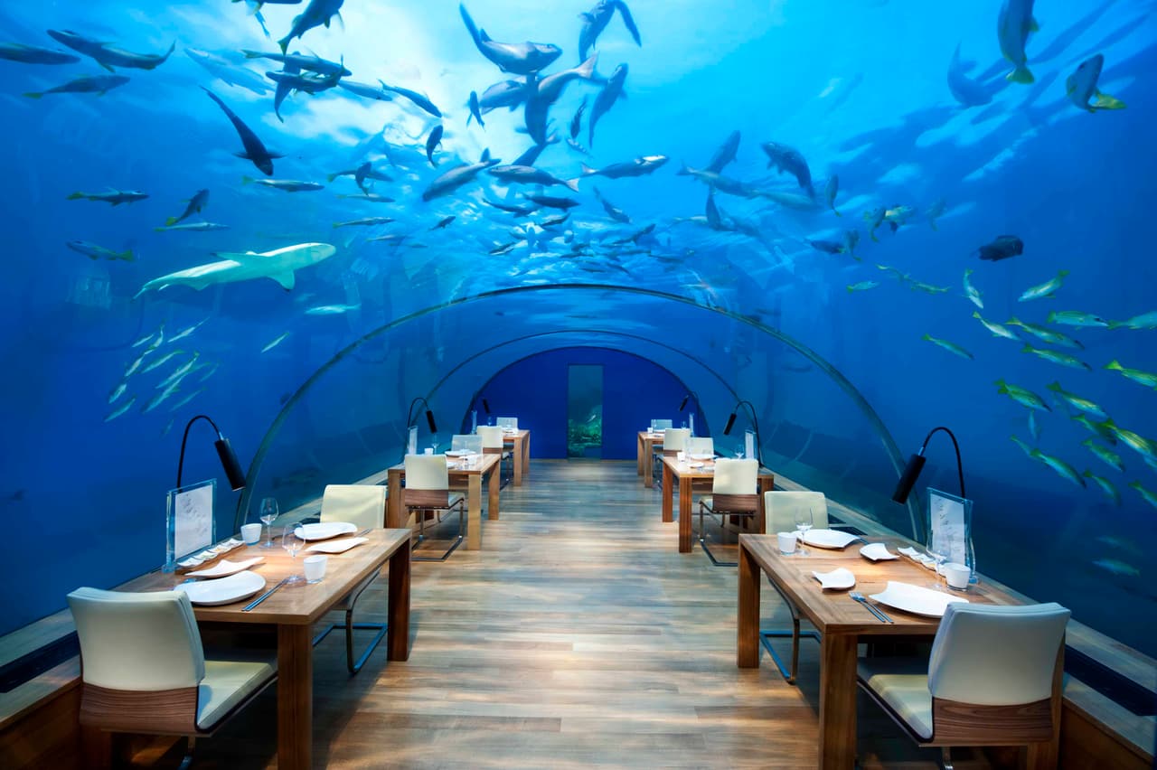 <b>Ithaa Undersea Restaurant:</b>
<br>No es necesario equiparse con tanques de oxígeno y un traje de neopreno para comer bajo del mar.
<b><a href="http://conradhotels3.hilton.com/en/hotels/maldives/conrad-maldives-rangali-island-MLEHICI/amenities/restaurants-ithaa.html">Este restaurante</a></b> en las Maldivas está acondicionado para vivir la experiencia a 13 pies bajo el océano con un menú de cocina europea.