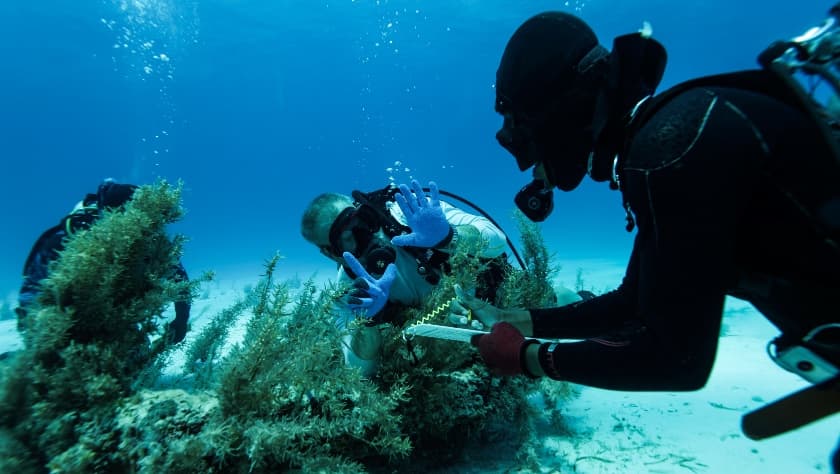 En el pasado ya se habían realizado esfuerzos para recuperar los tesoros del galeón, uno de ellos ocurrió en 1990. Fue en el año 2020 cuando la empresa Allen Exploration reactivó la expedición para investigar los
<b>13 kilómetros de fondo marino</b> donde se creía que se encontraban los restos del barco.