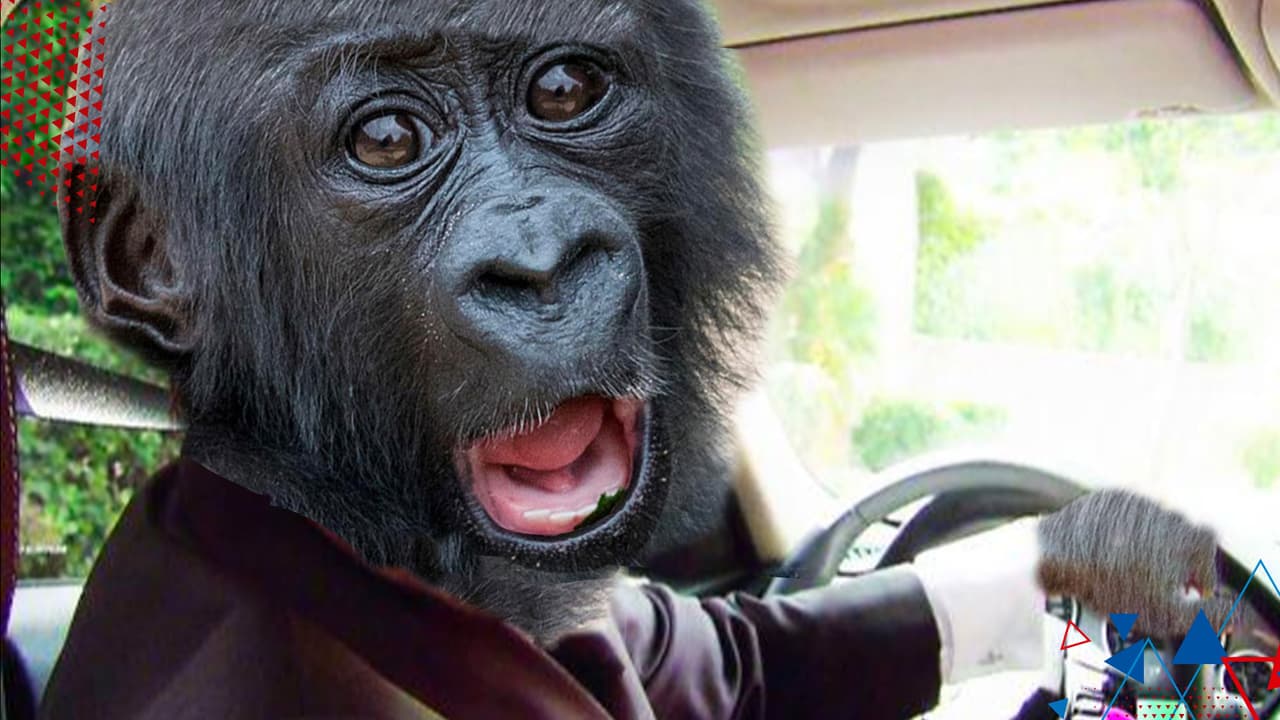 Choferes simios y otras predicciones ridículas que se hicieron en el pasado sobre el 2020