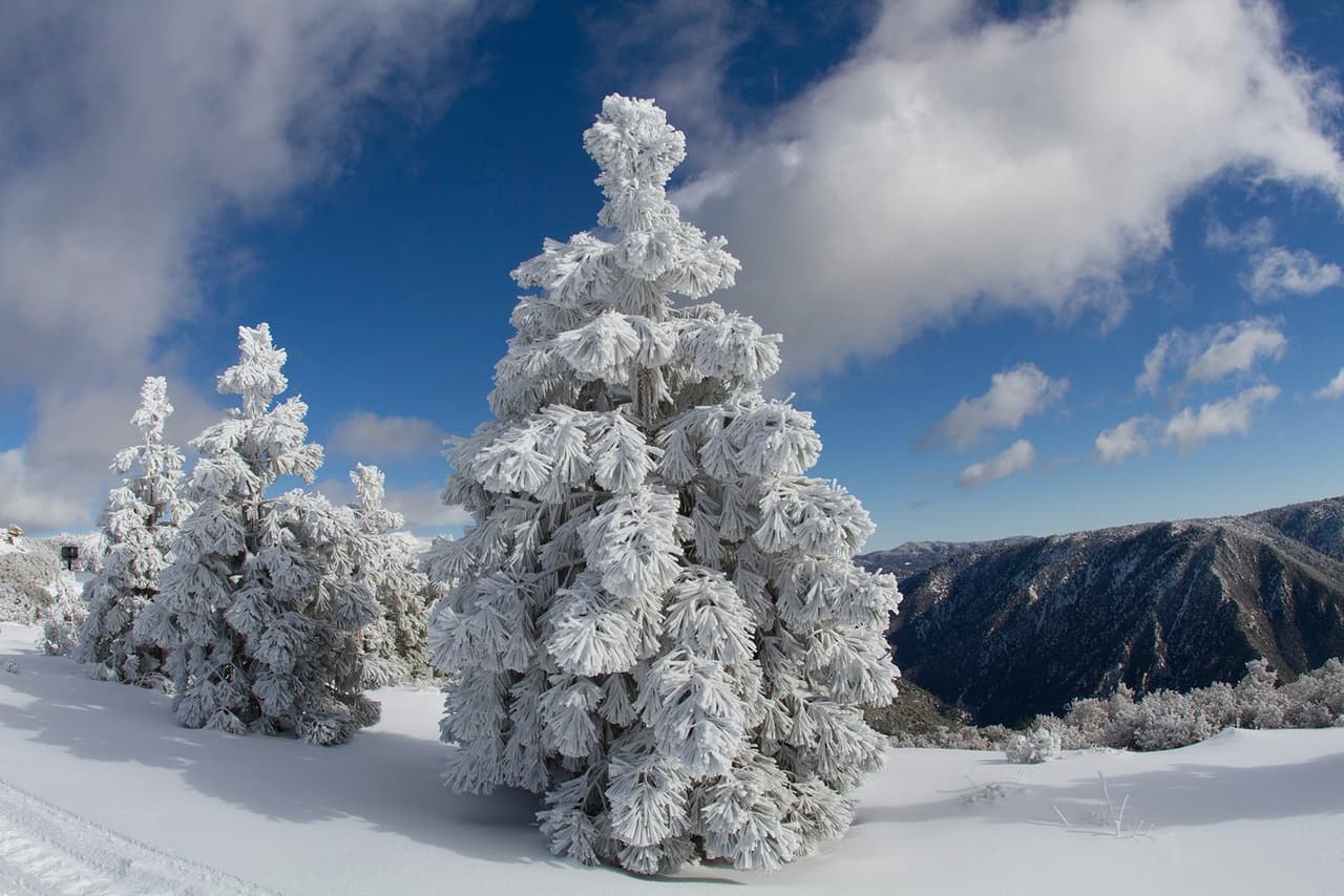 Estas bellezas son producto de las nevadas en las montañas del sur de California que debes visitar.
