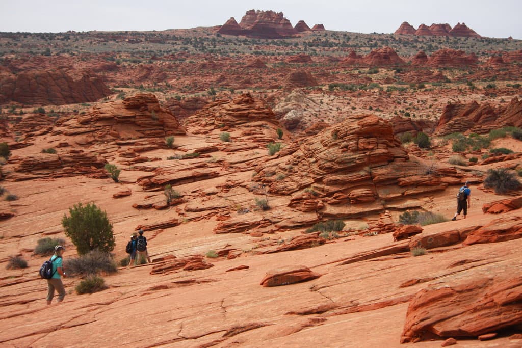 Al día sólo se permite el
<b>ingreso de hasta 64 personas</b> y/o 16 grupos de seis personas cada uno por día; Los permisos son a través de lotería, ya sea por adelantado o el mismo día.