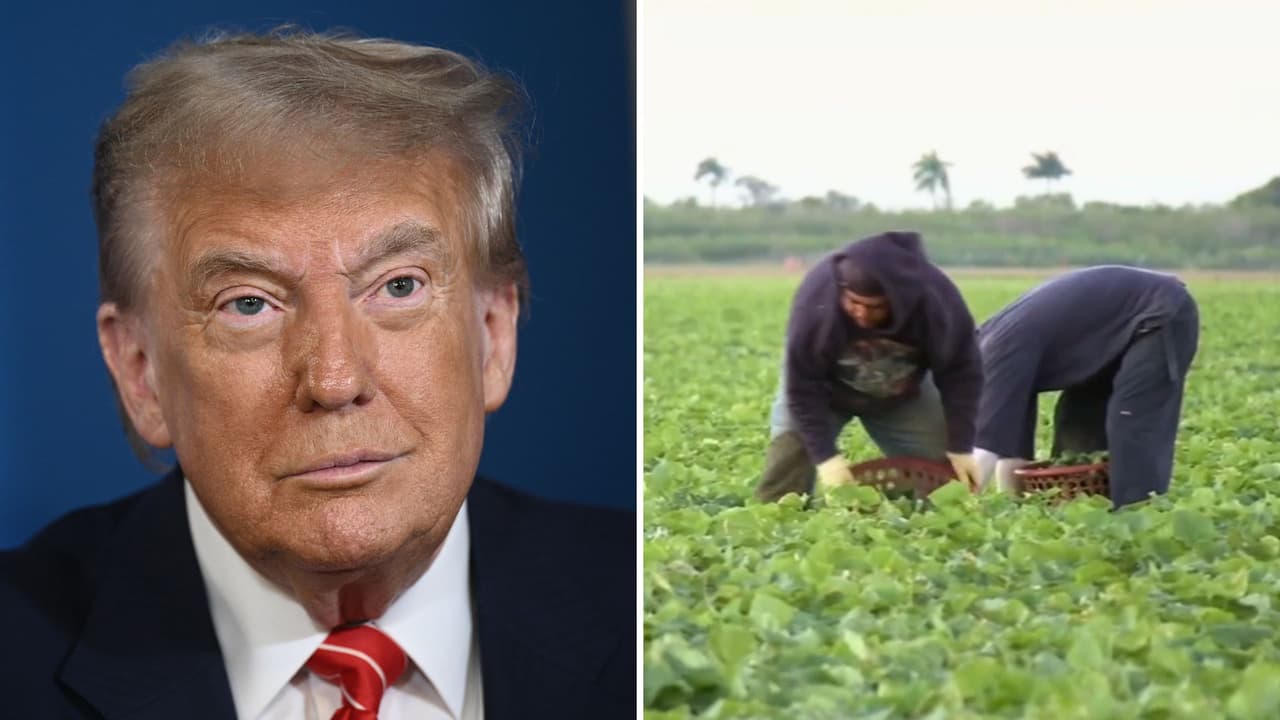 Trump asegura que prepara un permiso migratorio temporal para algunos trabajadores indocumentados