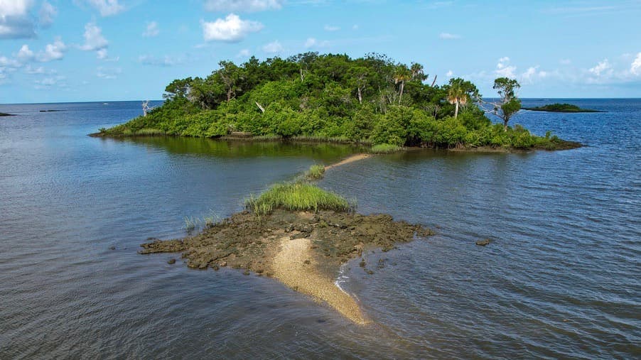 La compra de una isla, un campo petrolero en Texas y autos Lamborghini... así terminó dinero de las ayudas de la pandemia