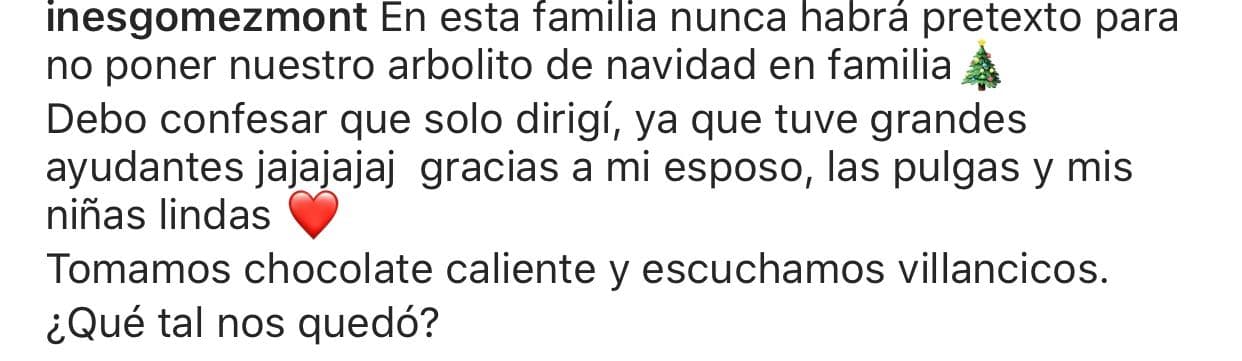 “En esta familia nunca habrá pretexto para no poner nuestro arbolito de navidad en familia. Debo confesar que solo dirigí, ya que 
<b>tuve grandes ayudantes</b>. Gracias a mi esposo, las pulgas y mis niñas lindas”, explicó Gómez Mont.
<br>