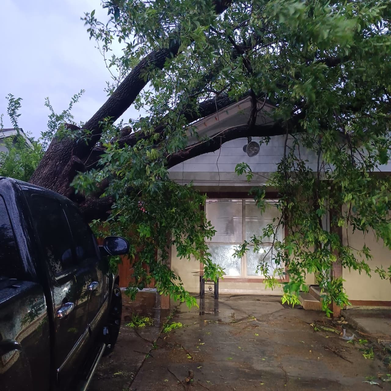 <b>Vigilancia por Tormentas Severas:</b> Hasta las 10 de la noche, afecta a varios condados en el norte de Texas, incluyendo 
<b>Dallas, Tarrant, Denton y Collin.</b>