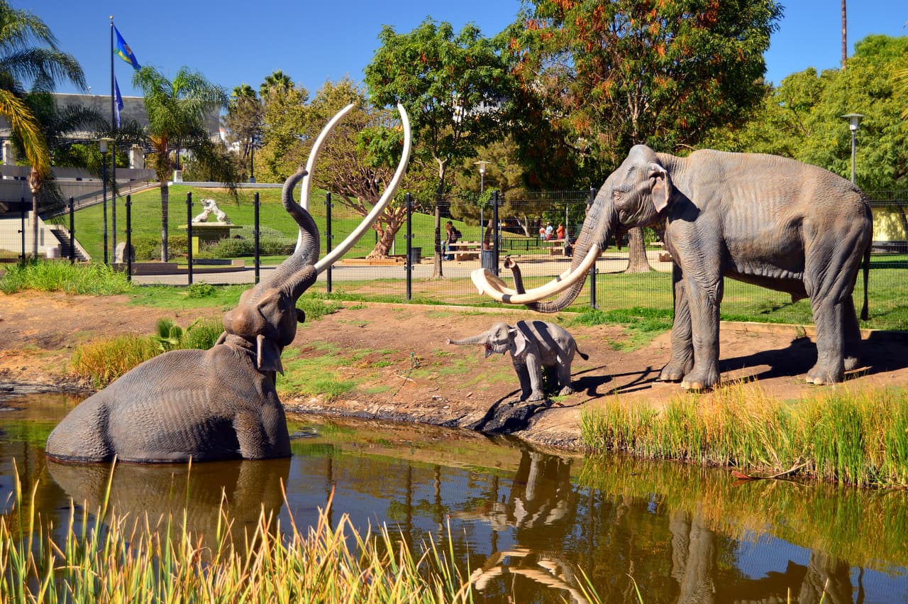 <h3 class="cms-H3-H3"><b>11. La Brea Tar Pits (empate)</b></h3>
<br>
<br>
<b>Ubicación: </b>Los Ángeles, CA
<br>
<b>Tarifa de estacionamiento por día:</b> 15 dólares