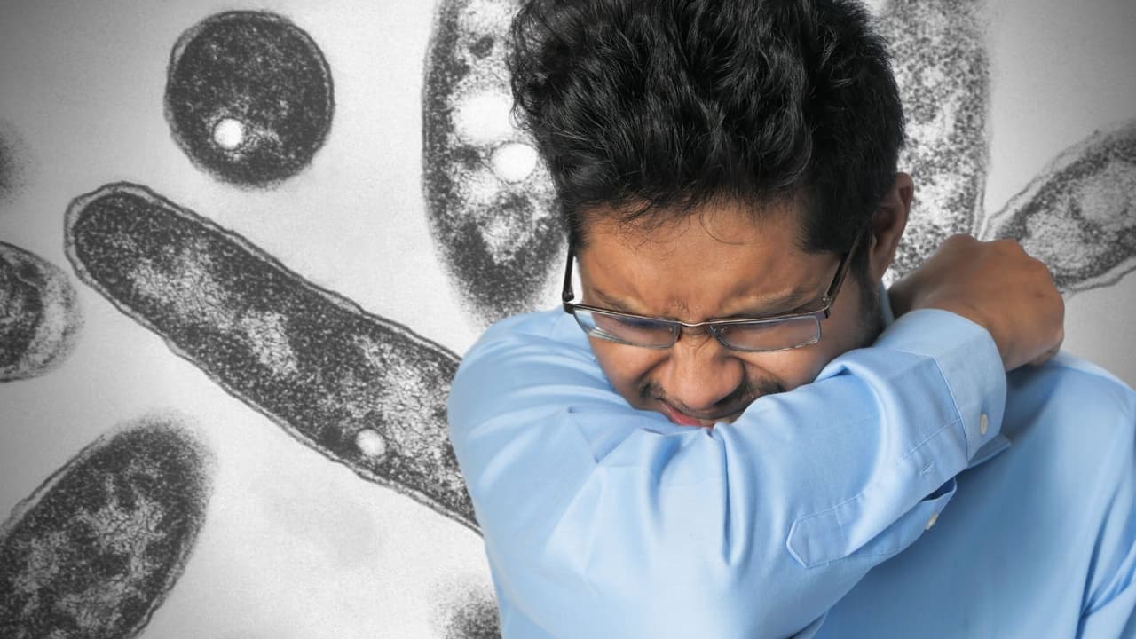 Identifican bacteria que causó la enfermedad del legionario en hotel en Napa