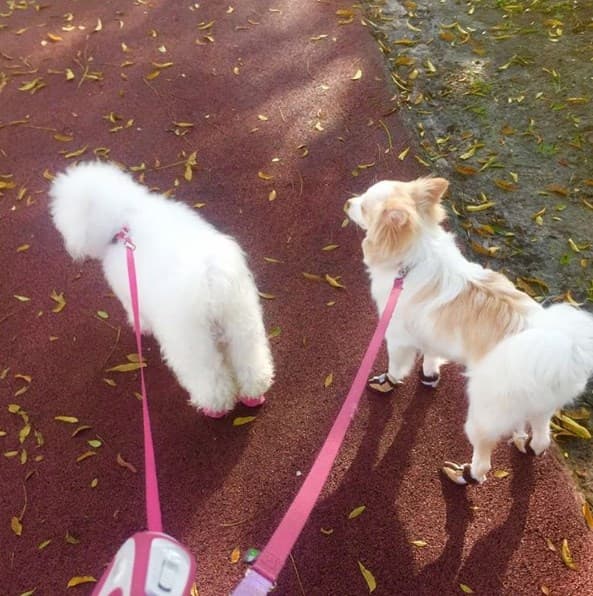 ¡Súper fashion! ¿Te gustan los bellos zapatitos que usa Mila?