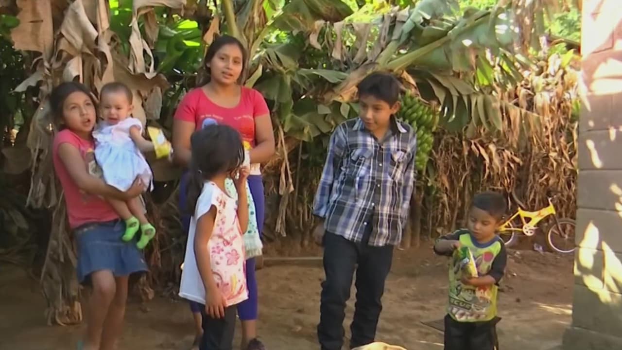 Ayuda de Impacto: Joven quedó a cargo de sus cuatro hermanos tras la muerte de sus padres