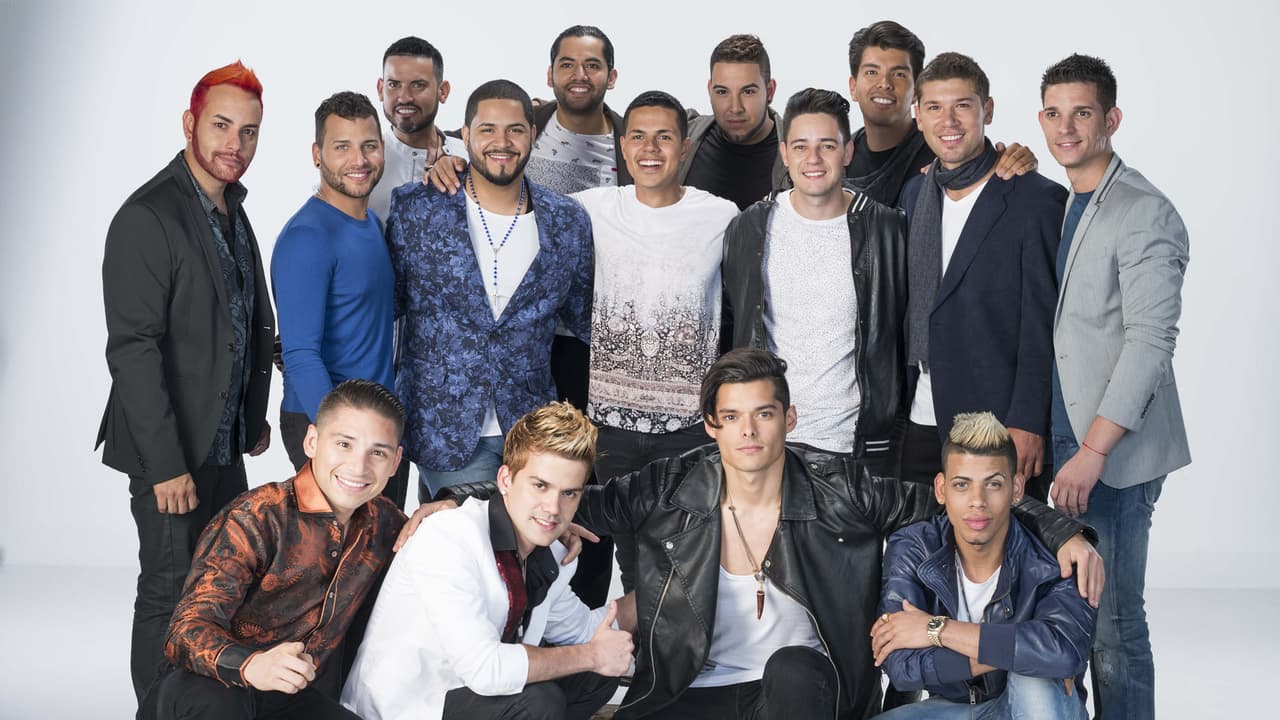 Cada uno de estos chicos sabe que para triunfar hay que luchar para alcanzar sus sueños. Conoce qué traen para demostrar que uno de ellos será la próxima estrella de la música.