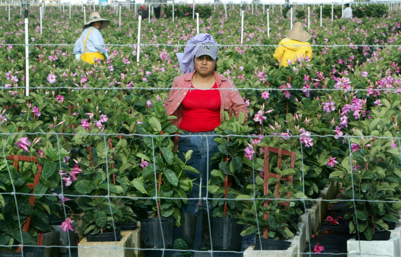 Ley SB 1718 de Florida: abogados advierten a empleadores sobre el uso obligatorio del programa E-Verify