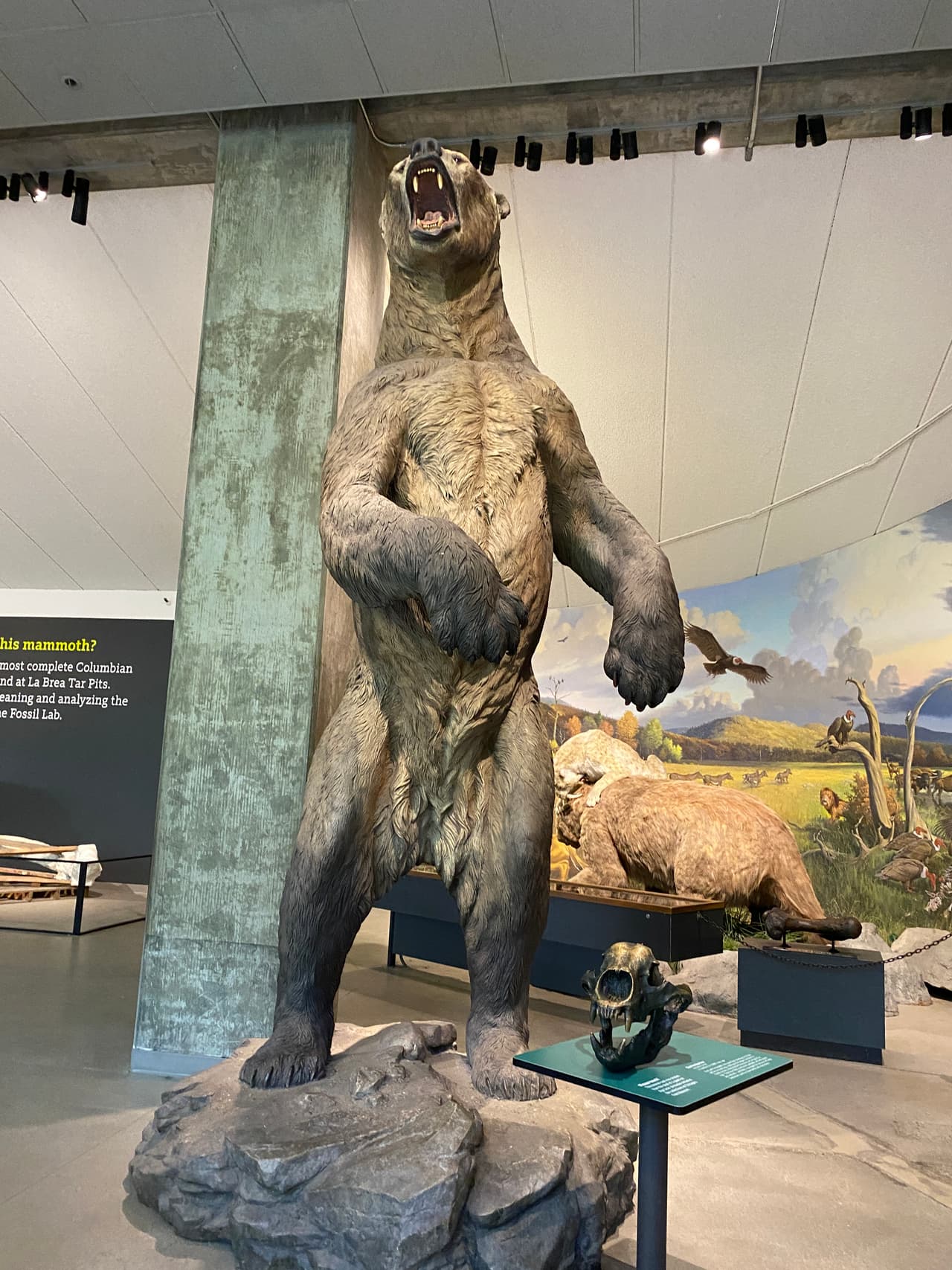 La réplica de este enorme oso, demuestra otra de las especies de la región.