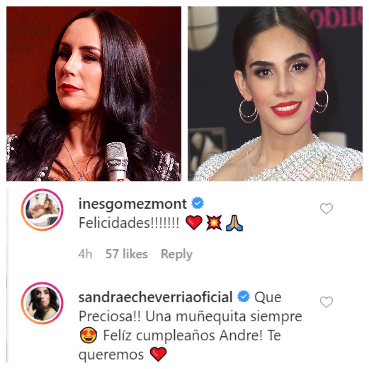 Inés Gómez Mont y Sandra Echeverría fueron otras estrellas que también la festejaron. 
<br>