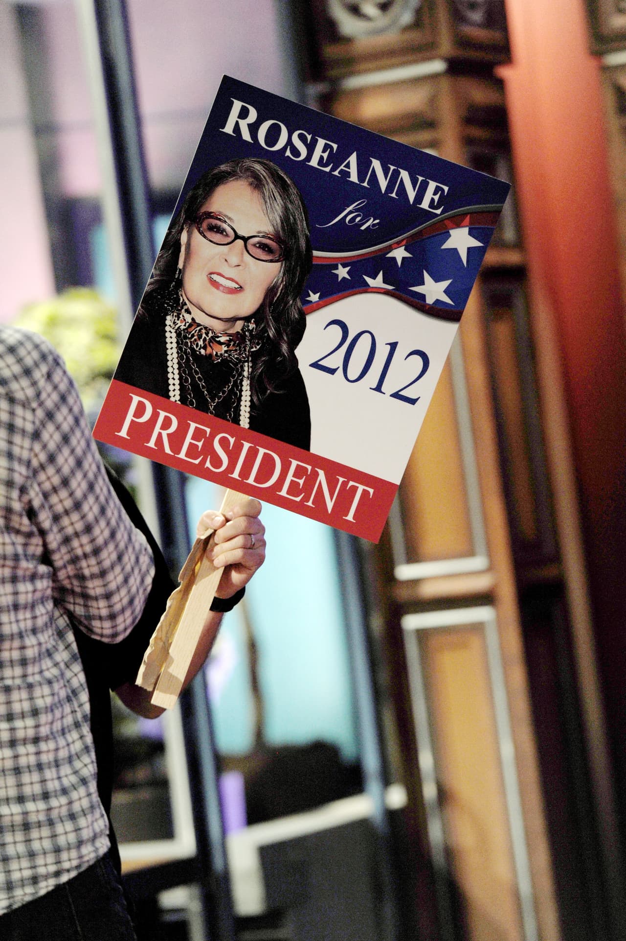 Aunque perdió la candidatura por el partido verde, Roseanne Barr logró ser apoyada para las elecciones presidenciales de 2012 por el partido Paz y Libertad, una pequeña organización liberal de California.