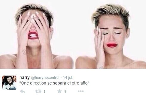 A pesar de que los propios integrantes de One Direction han dicho que no es una separación definitiva, las seguidoras del grupo creen que no hay marcha atrás y no volverán a juntarse.