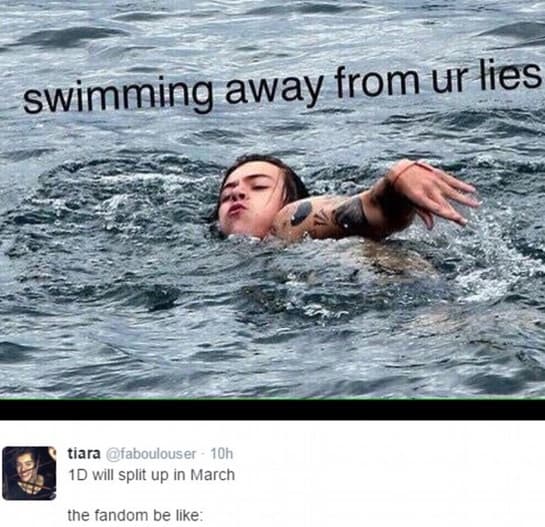 Otras querían que se trataba de una mentira o de un mal sueño... pero nada de eso. El descanso de la banda es un hecho.