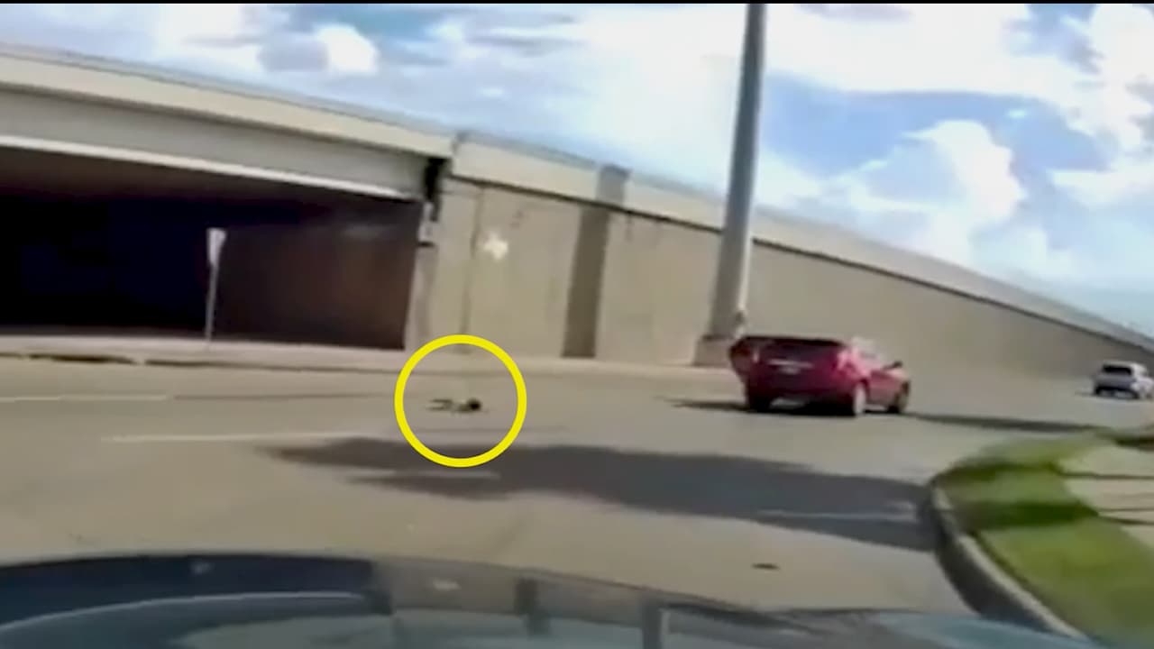 Además, los tres niños tampoco estaban asegurados. Un análisis de las autoridades al vehículo resultó que la silla usada para la bebé no era la adecuada y estaba puesta en un lugar incorrecto.