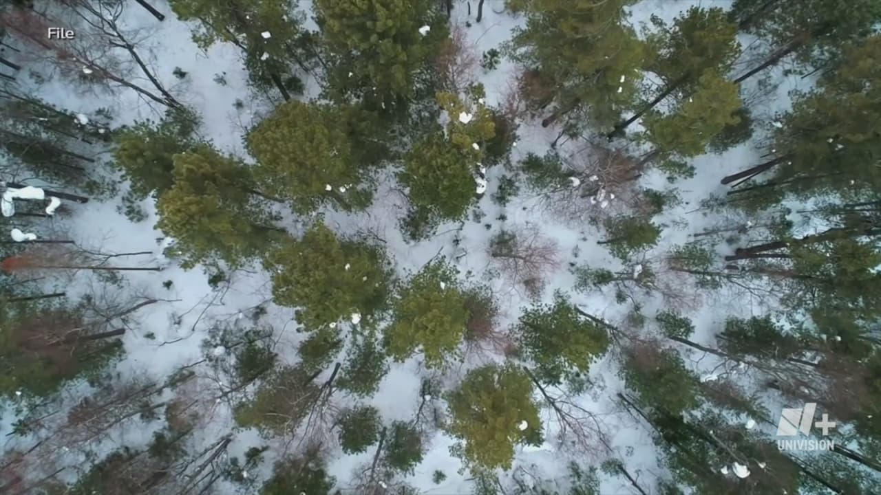 Así se preparan en Texas para la Tormenta Invernal: Hay declaración de desastre en 134 condados