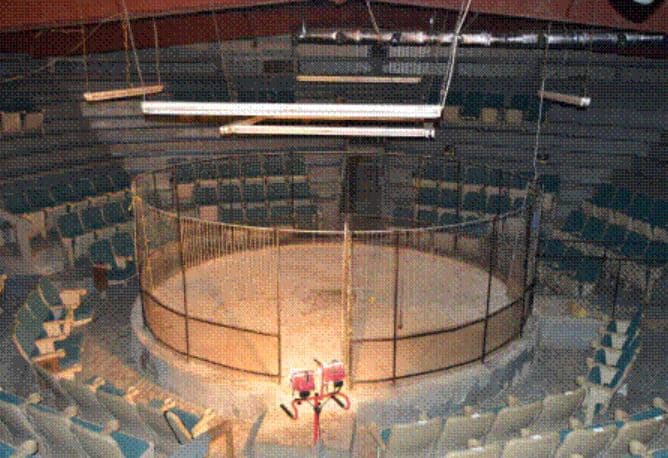 Al llegar a la vivienda los oficiales hallaron una arena para peleas de gallos, cuchillos y navajas.