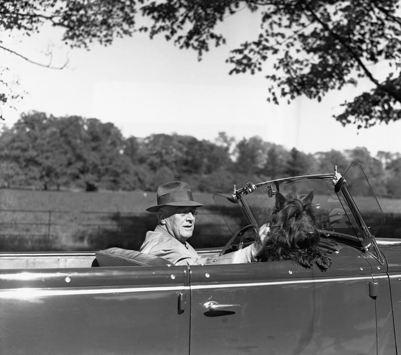 Franklin Delano Roosevelt junto a 'Fala', una
<i>Scottish Terrier</i>. Este mandatario tomó el poder después de Hoover y tuvo en total siete perros.