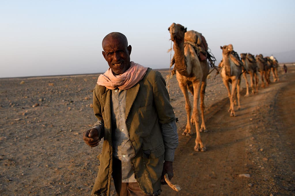 La depresión de
<b>Danakil, Etiopía</b>, en la actualidad mantiene la temperatura máxima promedio récord para un lugar habitado en la Tierra, con una media anual de
<b>94.28ºF (34.6°C)</b>.