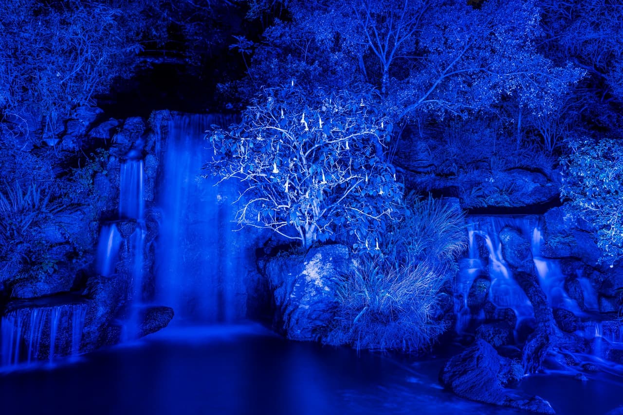 <b>'Paisaje de luces' en The Arboretum:</b>
<br>El evento incluirá instalaciones, caminos iluminados e incluso una
<i>Catedral de Invierno</i>. La duración de la caminata autoguiada es de alrededor de 90 minutos y tiene poco más de una milla de largo. Este evento es accesible para sillas de ruedas y cochecitos.
<br>
<b>Cuándo:</b> del 11 de noviembre de 2022 al 8 de enero de 2023 de 5:30 p. m. a 10 p. m.
<br>
<b>Dónde:</b> Arboreto y jardín botánico del condado de Los Ángeles, 301 North Baldwin Ave, Arcadia, CA 91007.
<br>
<b>Precio:</b> Va desde $39 a $18
<br>
<b>Estacionamiento: </b>El precio varía de $20 a $40 por valet.