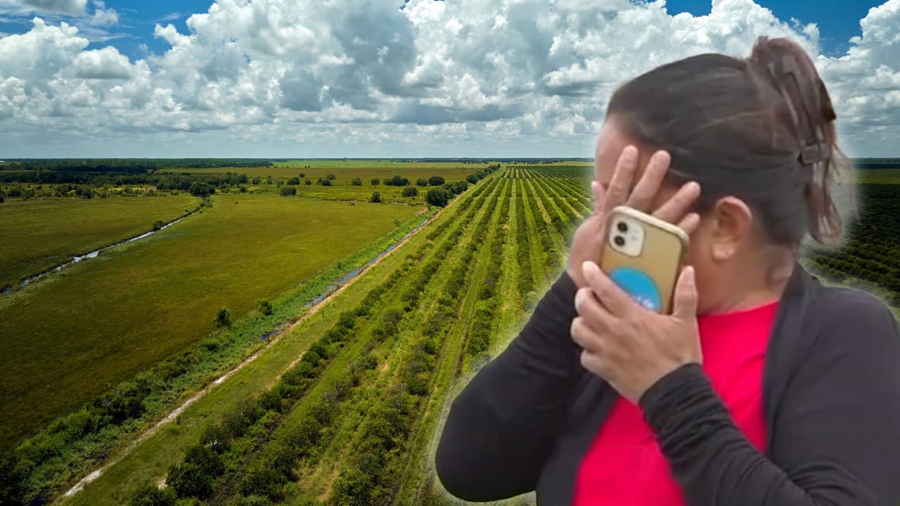 Homestead: La ciudad agrícola de Miami-Dade donde familias campesinas temen salir por riesgo de deportaciones
