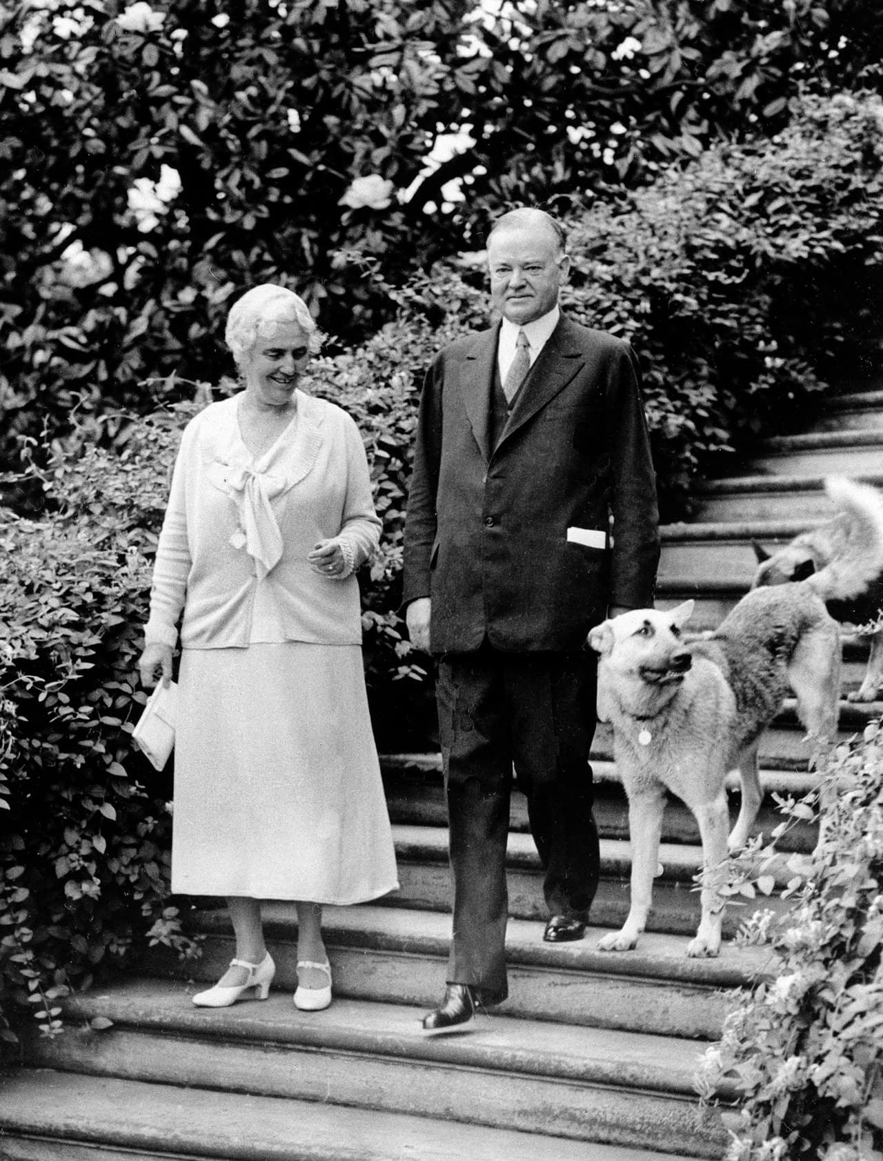 Herbert Hoover tuvo nueve perros y dos caimanes. Esta fotografía del mandatario con su esposa y dos de sus mascotas fue tomada en 1932, el último año de su mandato.