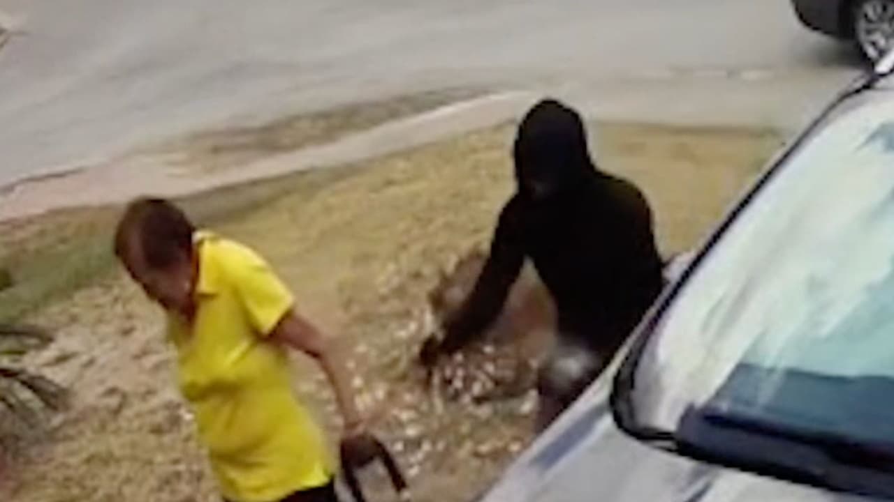 La mujer iba acompañada de su nuera y ambas bajaban de su camioneta para entrar a casa. La víctima cargaba con dos bolsas, una de ellas con comida cuando un vehículo se detuvo a su lado y un sospechoso 
<b>se acercó por detrás para arrebatarle el bolso, en el que llevaba cerca de 500 dólares y su teléfono celular.</b>