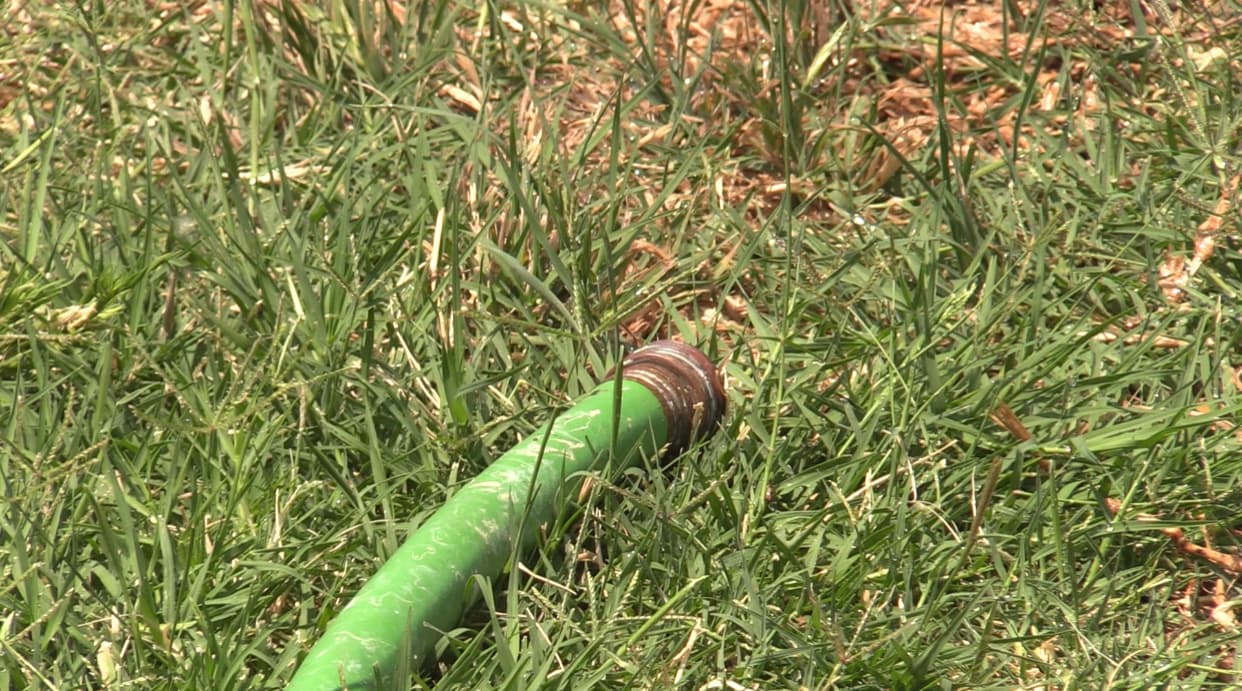 Para ahorrar agua se han impuesto 
<a href="https://www.univision.com/local/fresno-kftv/levantan-restricciones-ciudad-lemoore-uso-agua-explosion-tanque">restricciones.</a> Tienen prohibido el regar los 
<b>lunes, jueves y domingos,</b> así como regar por más de 3 horas los días que tienen asignados. De no seguir las reglas pueden recibir 
<b>multas de hasta $80.00</b>