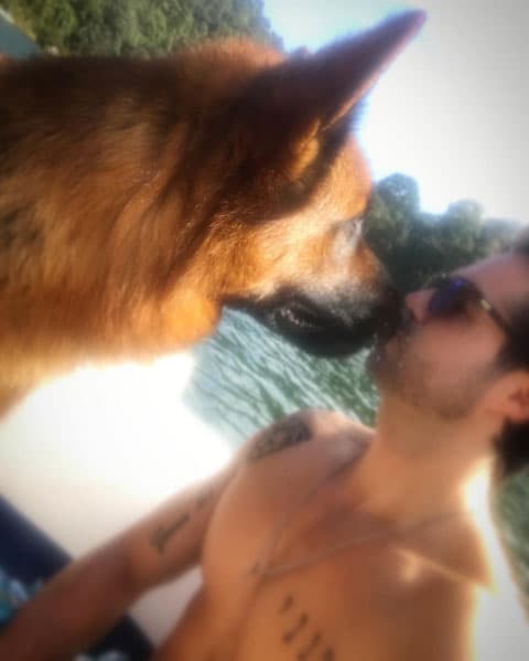 Así luce ahora, es un enorme y precioso amigo de 4 patas.