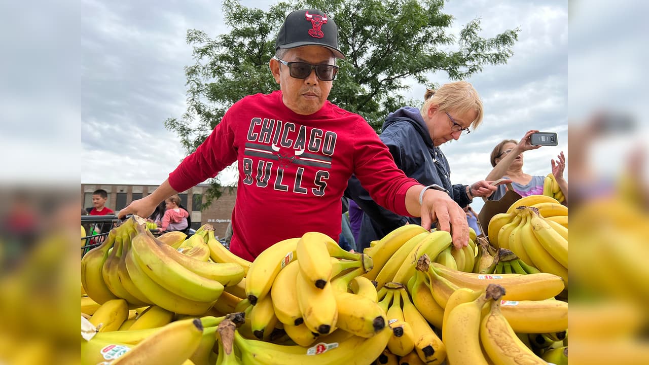 Para la exhibición, que 
<b>tomó tres días montar</b>, se emplearon 
<b>más de 77,000 libras de bananas </b>de Del Monte.