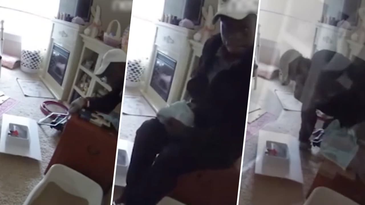 “Como si se sintiera en casa”: ladrón se puso cómodo en una casa mientras la robaba